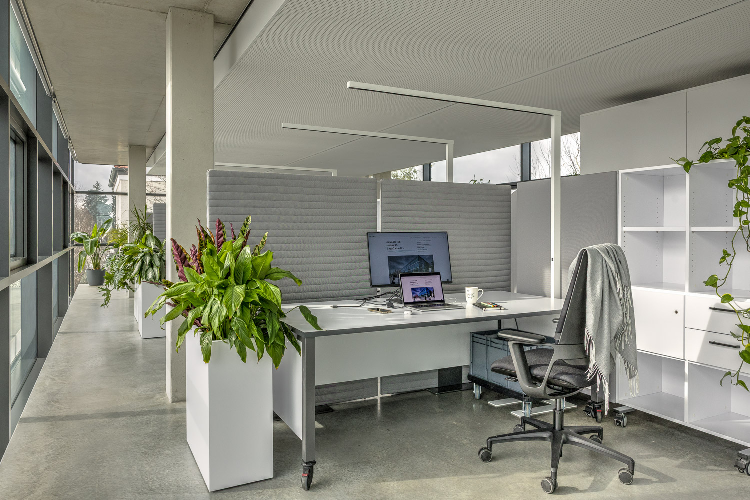 cubus33-coworking-ingolstadt-arbeitsplatz-open-space-akustiktrennwaende-27-zoll-monitor-regal
